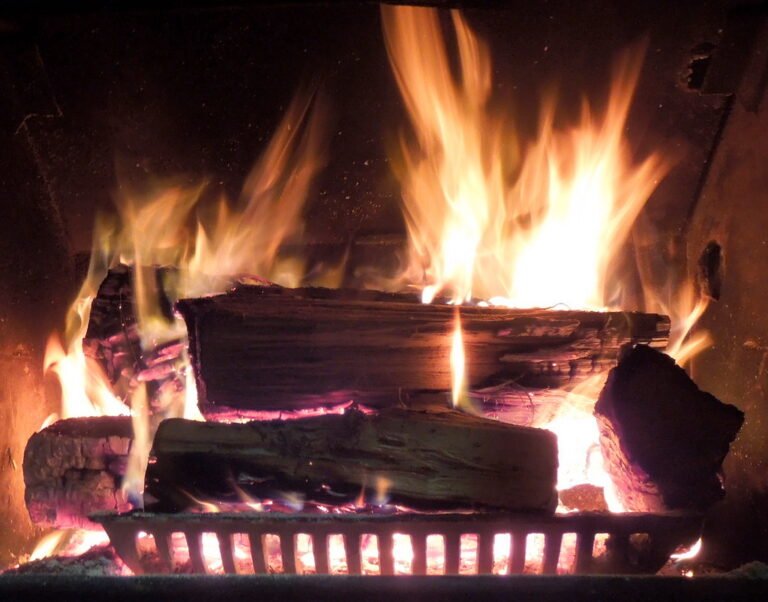 Feu de bois chaleureux dans un foyer