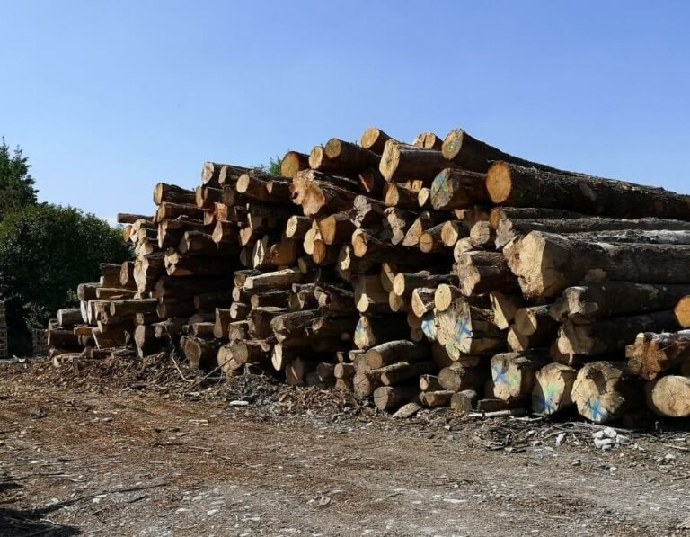 GRUME-DE-BOIS-11